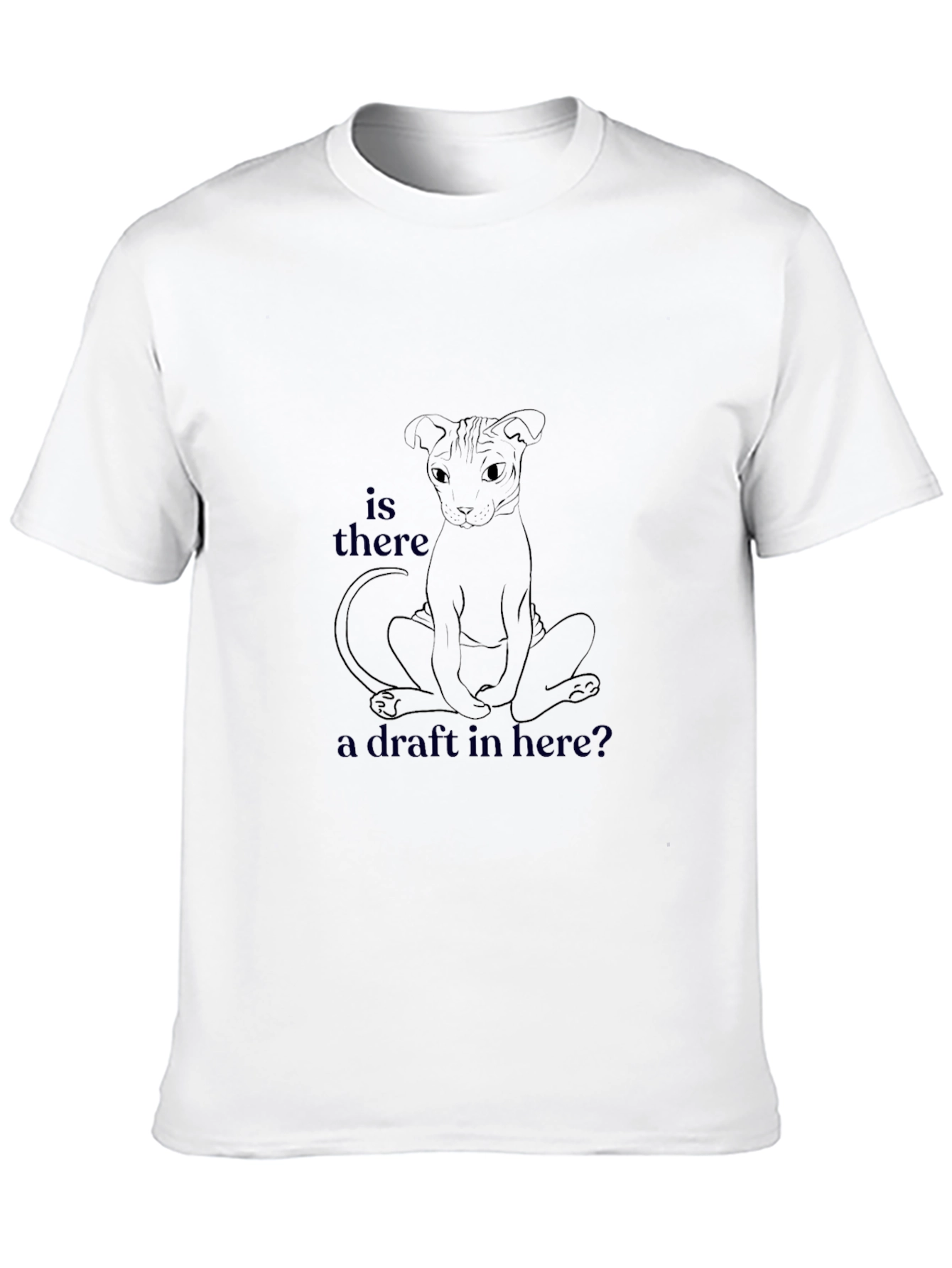 Is There a Draft Here? Graphic T-Shirt
