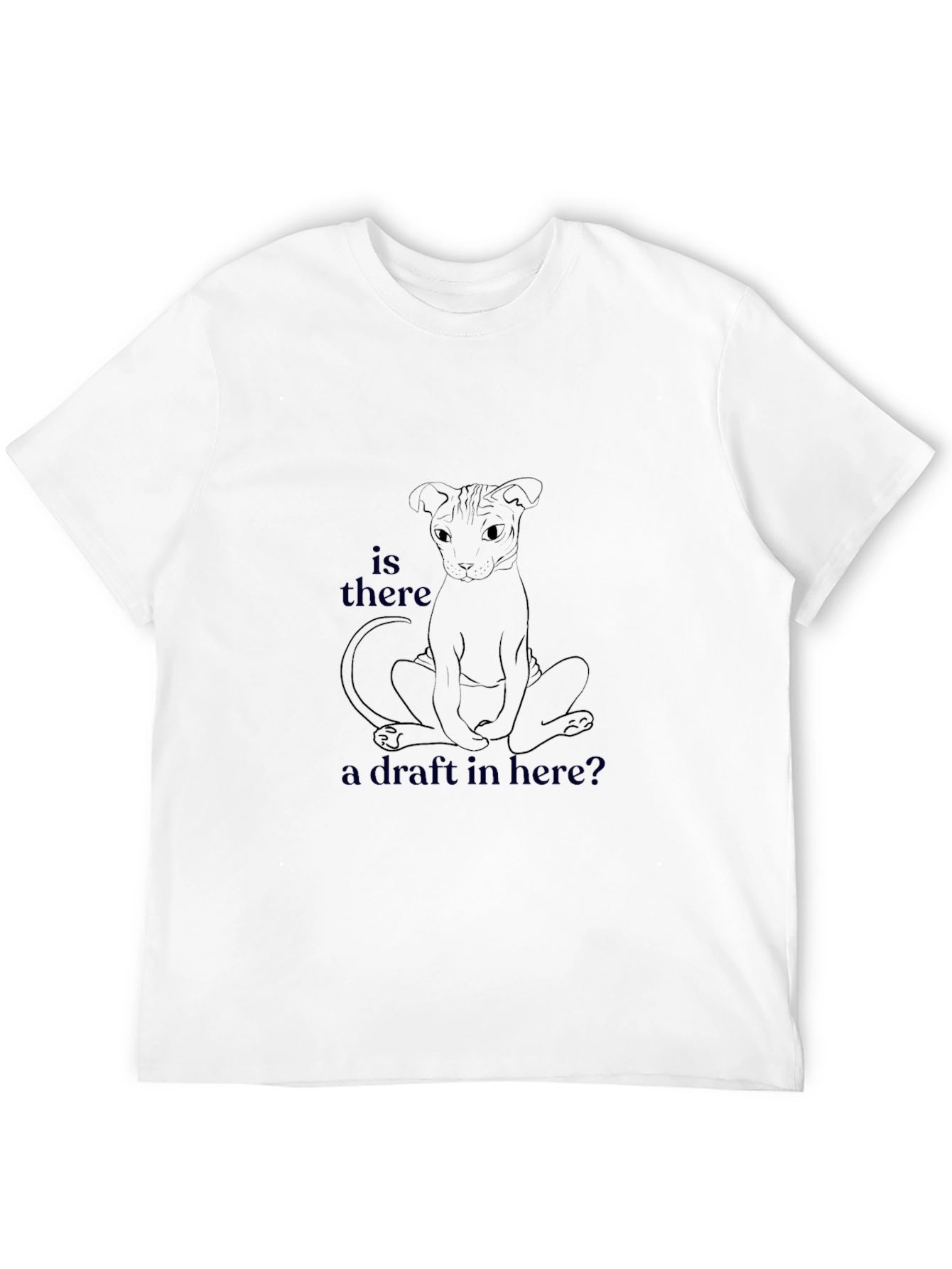 Is There a Draft Here? Graphic T-Shirt