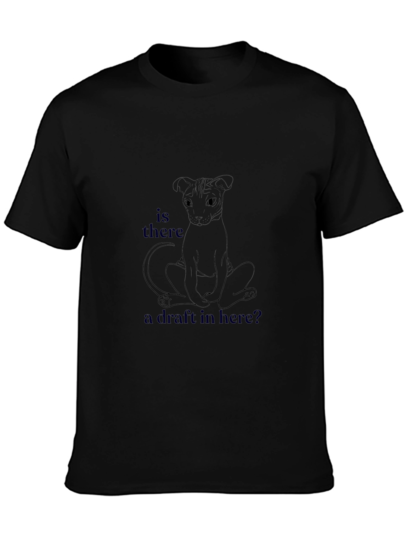 Is There a Draft Here? Graphic T-Shirt