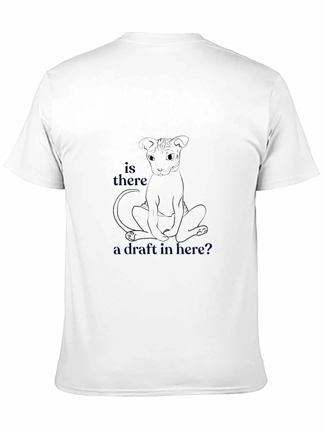 Is There a Draft Here? Graphic T-Shirt